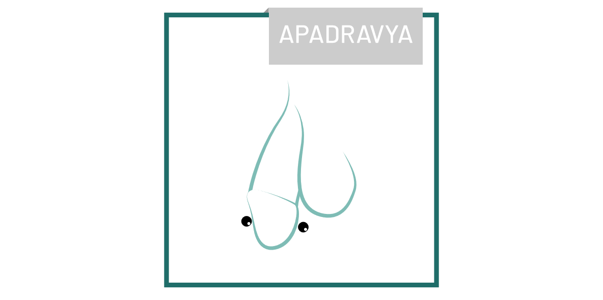 piercing_Apadravya