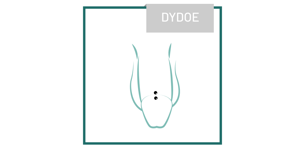 piercing_Dydoe