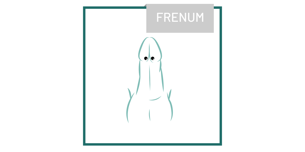 piercing_Frenum